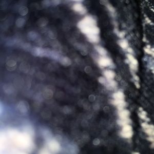 Meet your Posher, Cheyenne